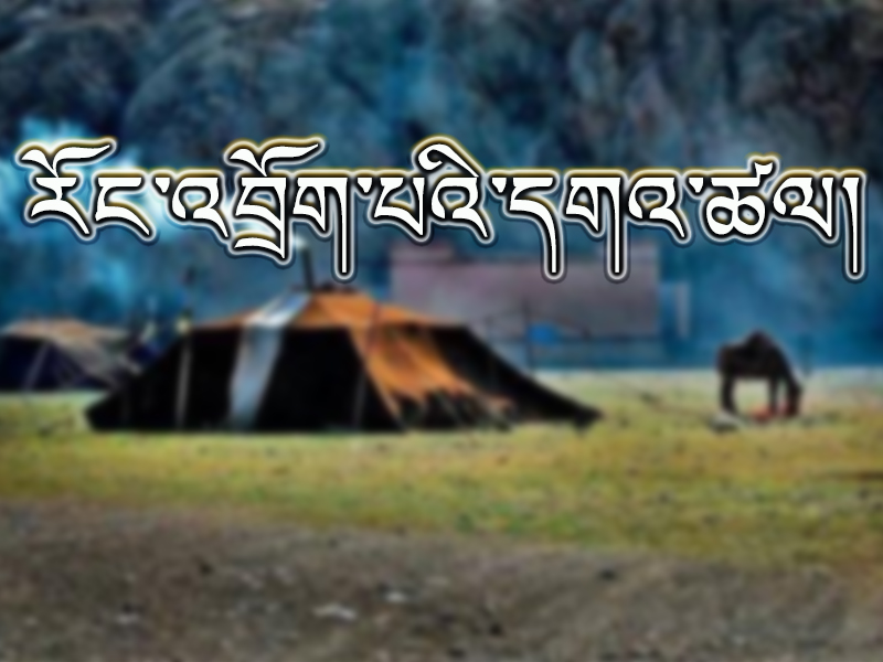 རོང་འབྲོག་པའི་དགའ་ཚལ།