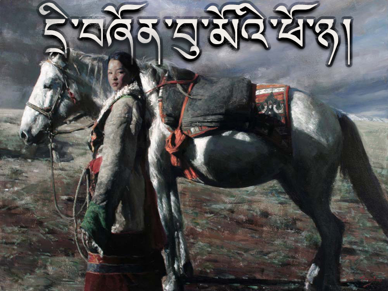 དྲི་བཞོན་བུ་མོའི་ཕོ་ཉ།