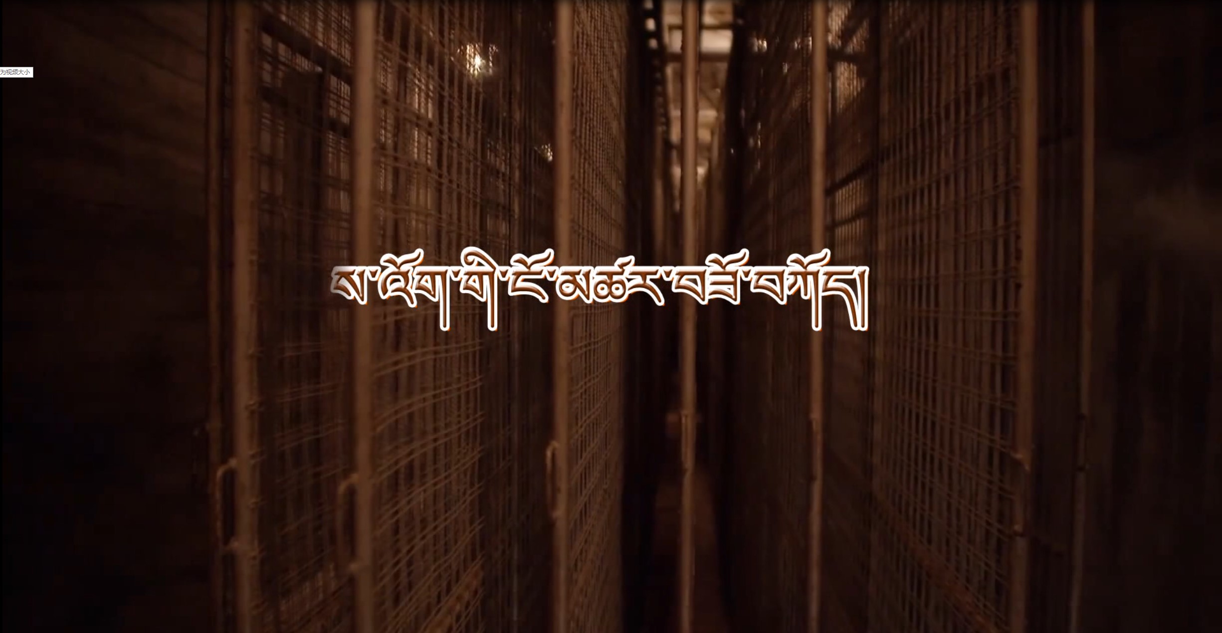 ས་འོག་གི་ངོ་མཚར་བཟོ་བཀོད 6